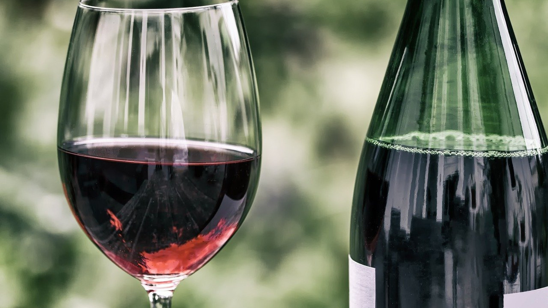 Comment se former à la dégustation du vin ?